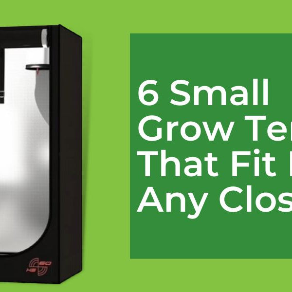 Small grow tents that fit any closet
