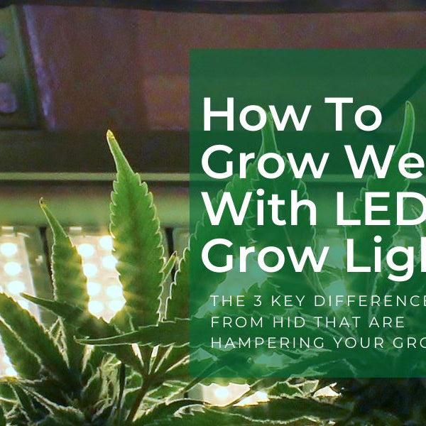 How To Grow Weed With LED Grow Lights - 3 Key Differences From HID Are Hampering Your Grow
