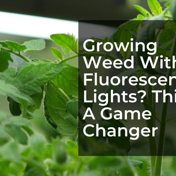 Growing Weed With Fluorescent Lights? This Is A Game Changer