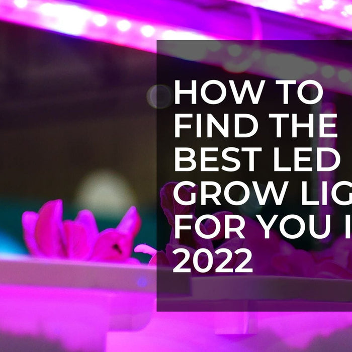 How To Find The Best LED Grow Light For You In 2022