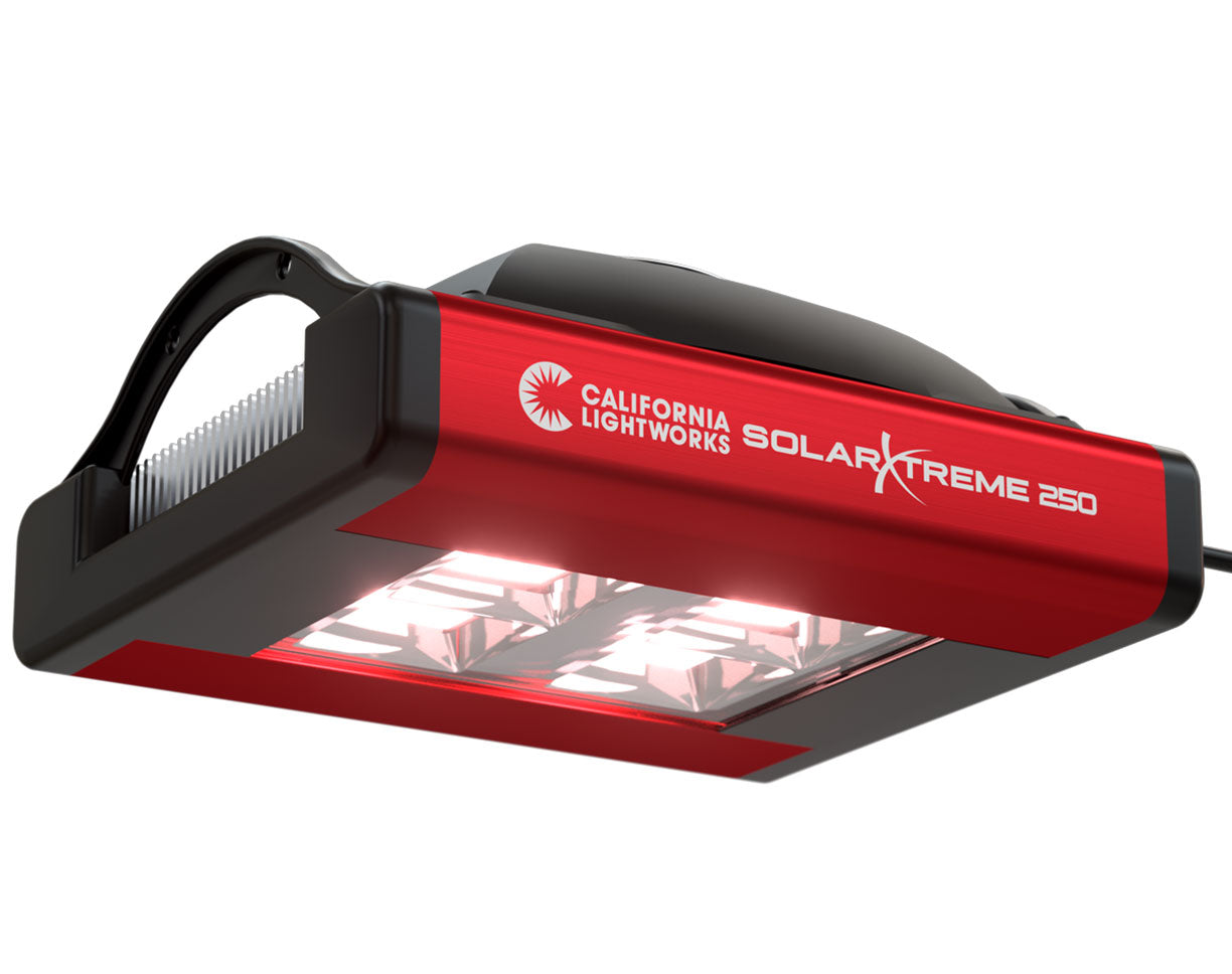 Bottom view of the SolarXtreme 250 turned on, revealing the LED lens array and light diffusion pattern.