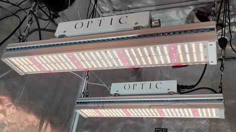 Optic GMax 150 Dimmable LED Grow Light set up