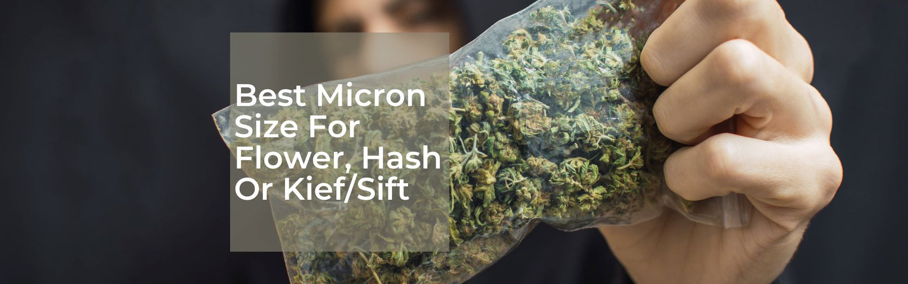 Best Micron For Flower, Hash Or Kief/Sift Rosin (Ideal Bag Sizes)