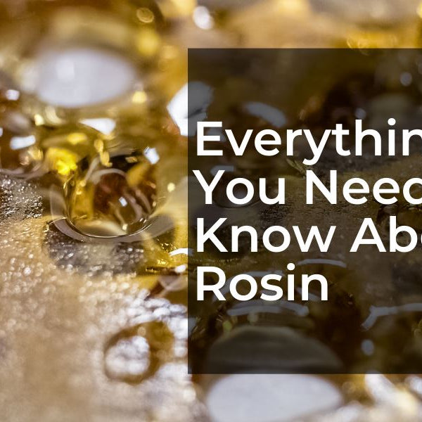 What Is Rosin And Why Is Everyone Raving About It