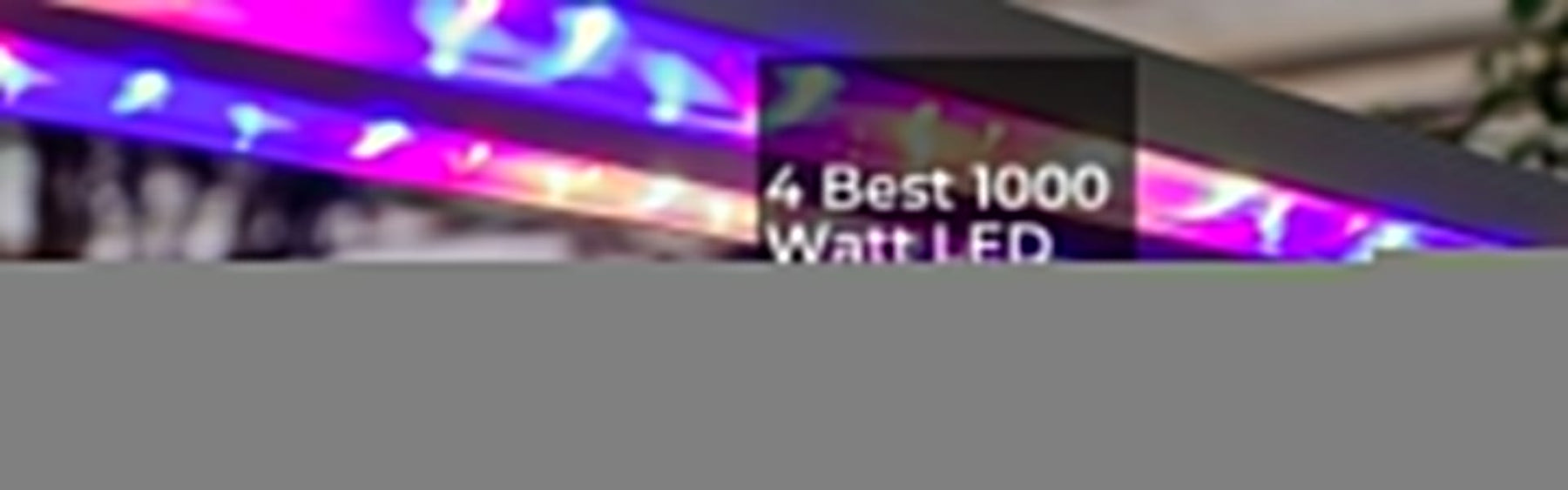 Best 1000 Watt LED Grow Lights