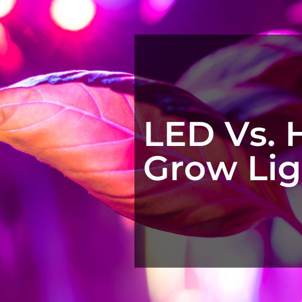 LED vs. HPS Grow Lights