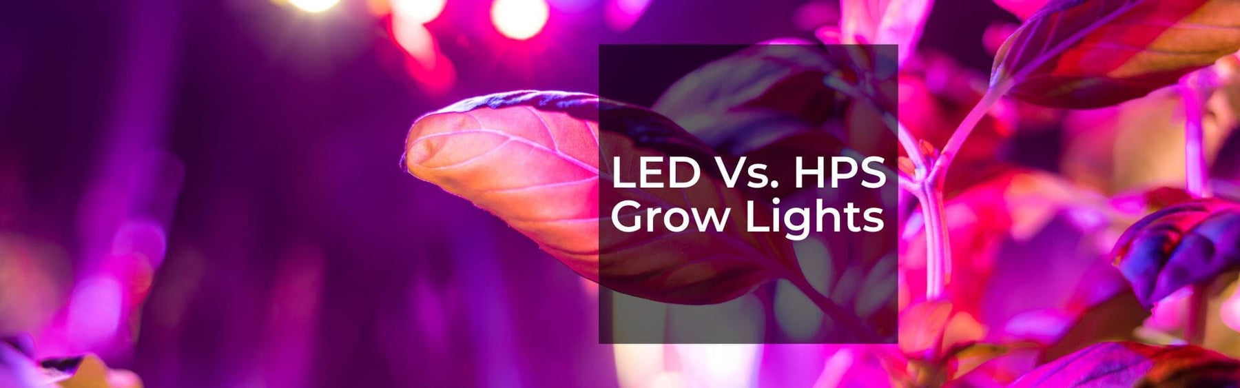 LED vs. HPS Grow Lights