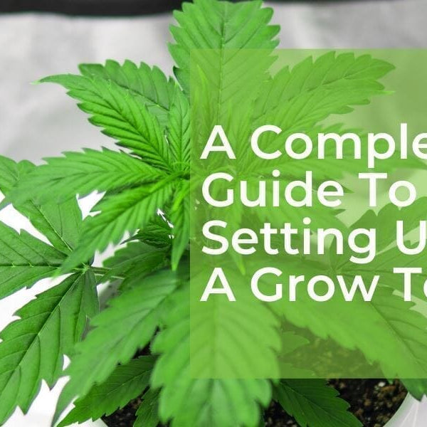 Complete Black Dog Grow Tent Kit