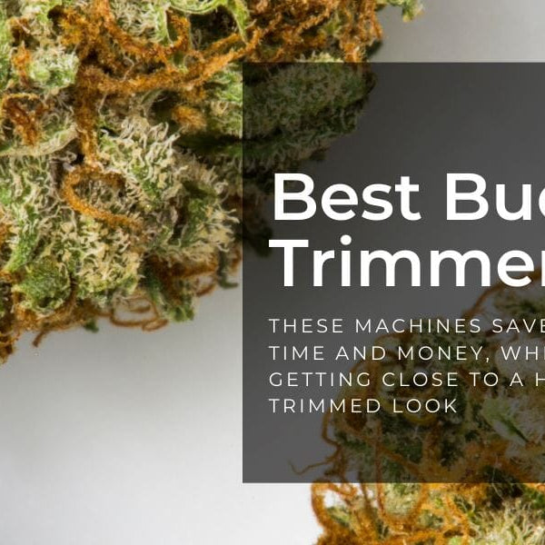 Best Bud Trimmers—Top Trimming Machines of 2024