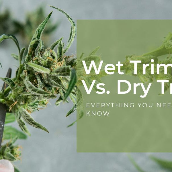 Dry trimming vs Wet trimming