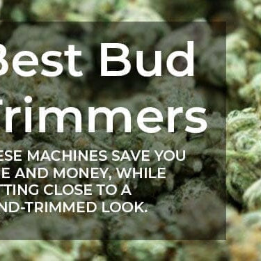 A background of small green buds with the caption Best Bud Trimmers overlayed