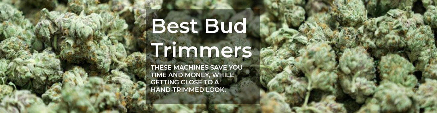 A background of small green buds with the caption Best Bud Trimmers overlayed