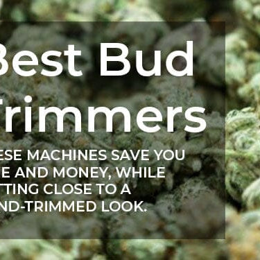 A background of small green buds with the caption Best Bud Trimmers overlayed