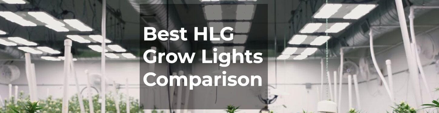 Which HLG Grow Light Is Best for Indoor Growing?