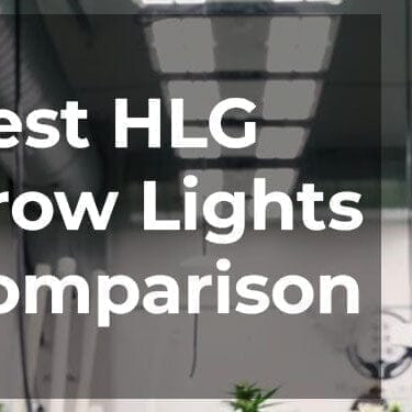 Which HLG Grow Light Is Best for Indoor Growing?