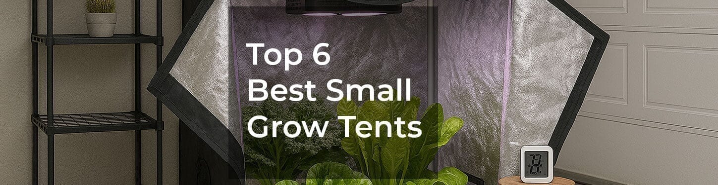 What Are the 6 Best Small Grow Tents That Fit in Any Closet in 2026?
