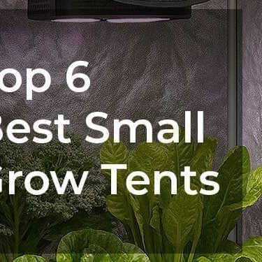 What Are the 6 Best Small Grow Tents That Fit in Any Closet in 2026?