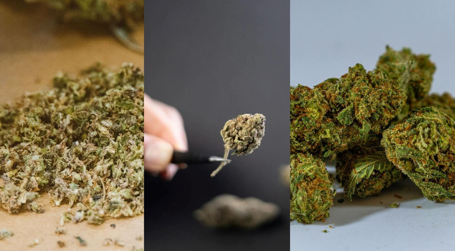 Different Grades Of Bud and Their Uses