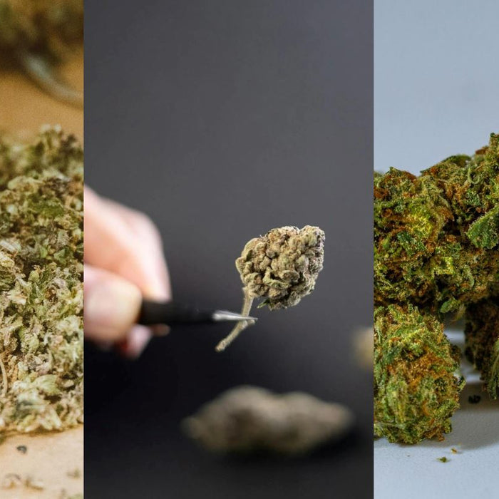 Different Grades Of Bud and Their Uses