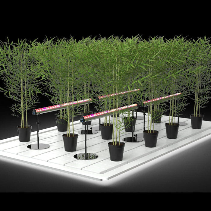 Under canopy grow lights