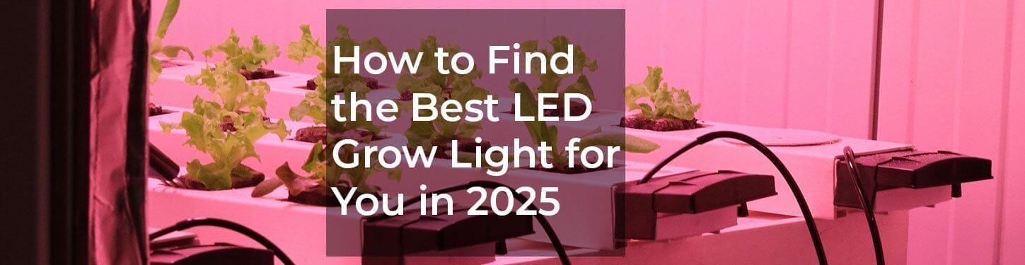 Find the best LED grow light for you with Grow Light Central's Ultimate Guide.