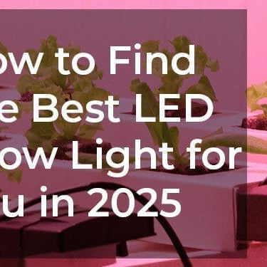 Find the best LED grow light for you with Grow Light Central's Ultimate Guide.