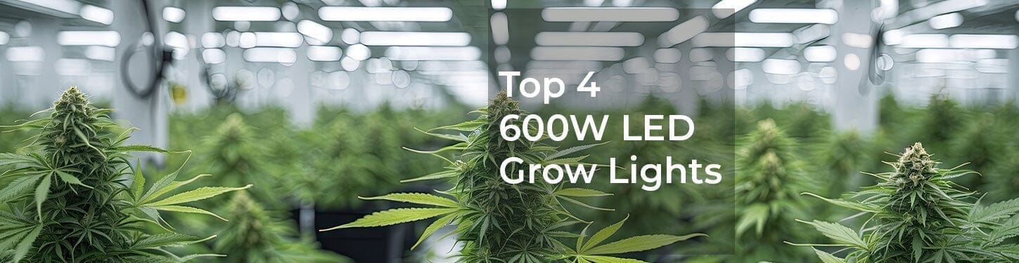 What Are the Best 600W LED Grow Lights in 2026?