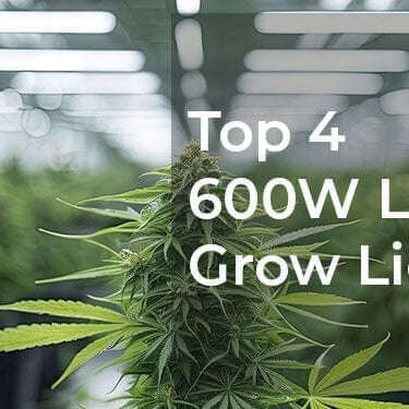 What Are the Best 600W LED Grow Lights in 2026?