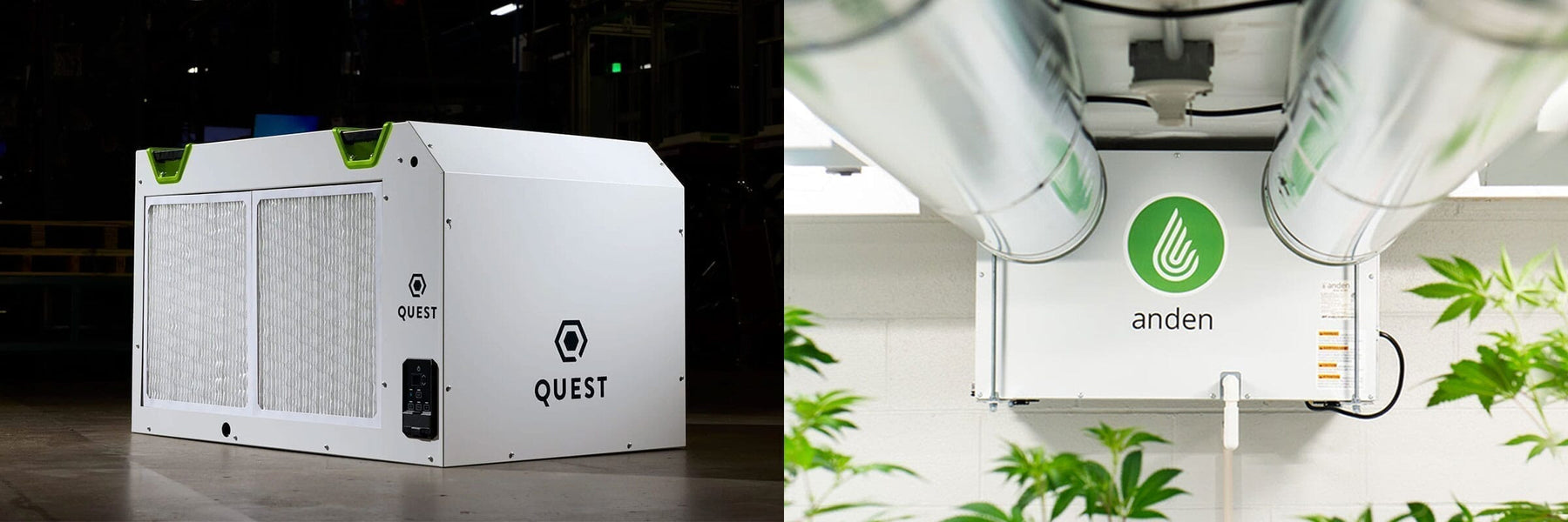 What Are the Key Differences Between Quest vs. Anden Commercial Dehumidifiers?