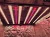 Optic Led Slim 80 Xtreme Bloom Bars - 80 Watts Dimmable - Deep RED + UV + iR LED light Optic LED 