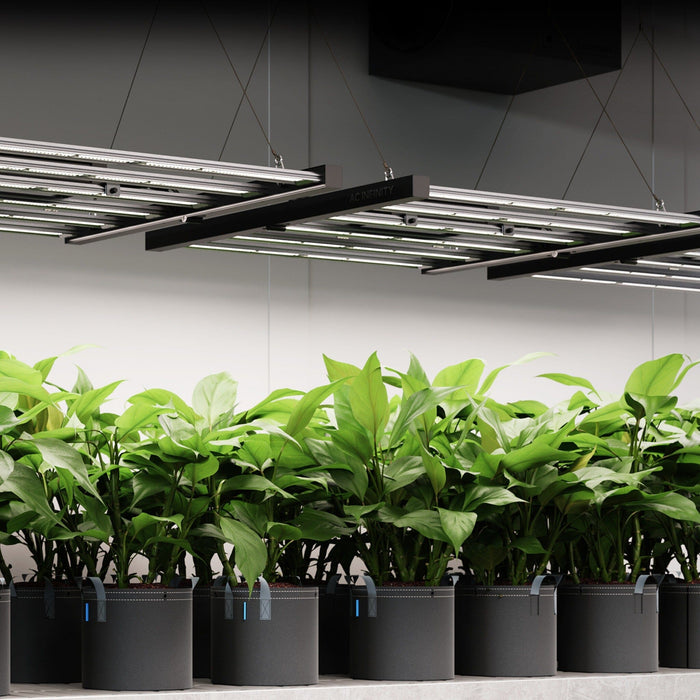 IONFRAME EVO3 LED lights suspended above healthy plants in a professional indoor grow setup.