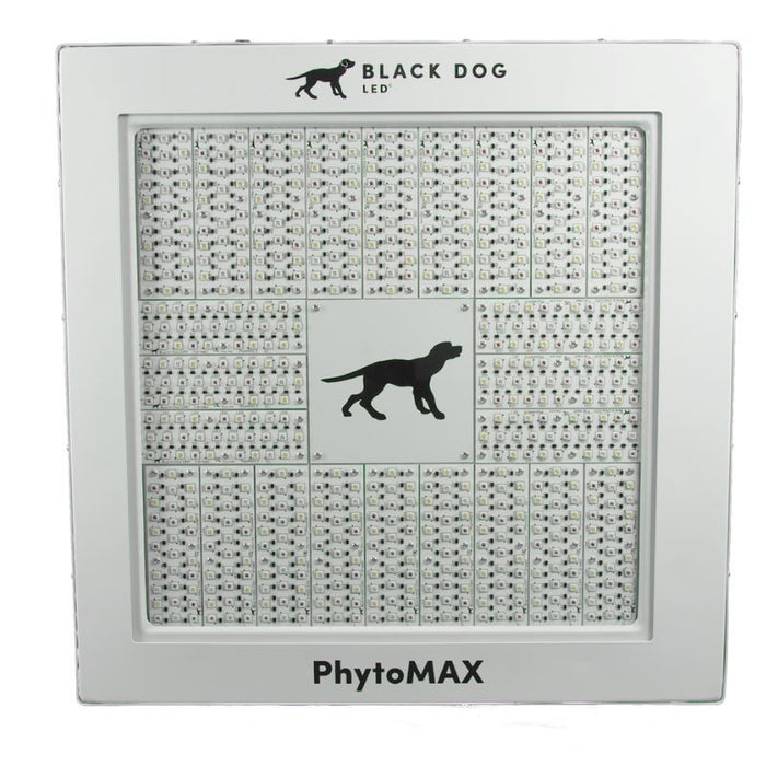 Front view of the PhytoMAX-4 24SP grow light featuring a dense LED diode array with the Black Dog logo.