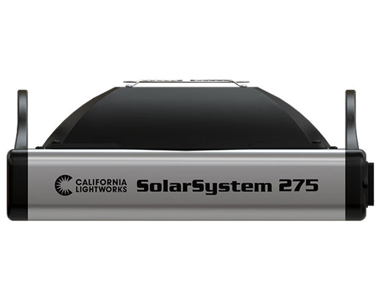 フラワー・ガーデニング Agave montana 'Lime Flash' 67 Agave montana 'Lime Flash' 67