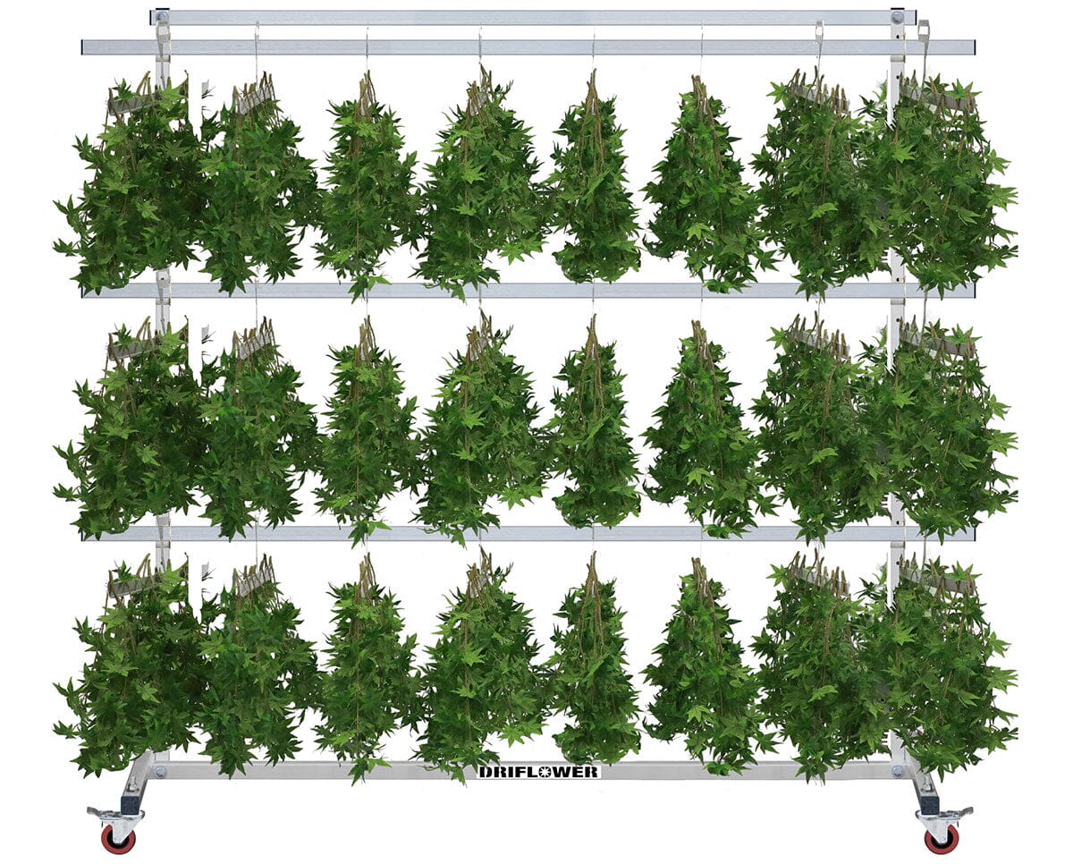 Harvest Carts