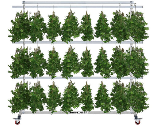 The DriFlower Rolling Dri-Rack fully loaded with bud branches hanging from J-Hangers on three levels of 90-inch Dri-Sticks, showcasing its large drying capacity.