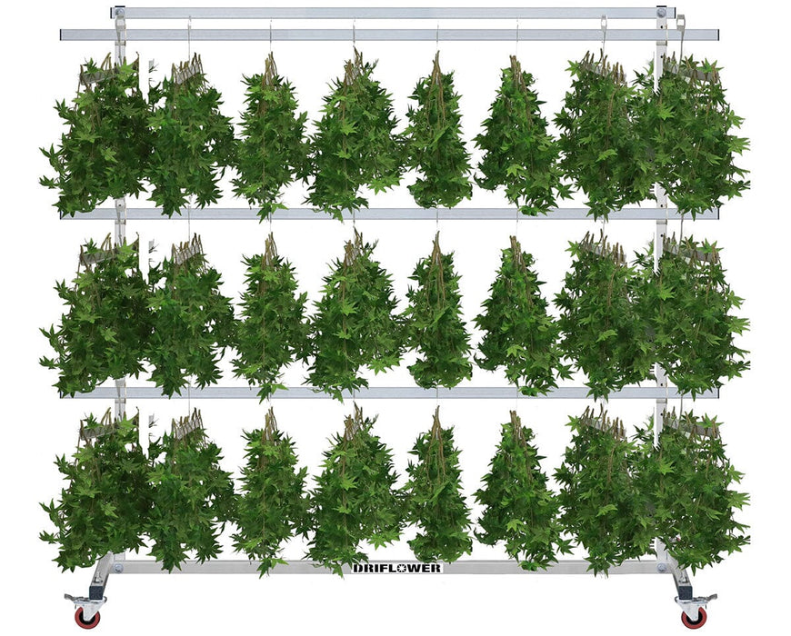 The DriFlower Rolling Dri-Rack fully loaded with bud branches hanging from J-Hangers on three levels of 90-inch Dri-Sticks, showcasing its large drying capacity.