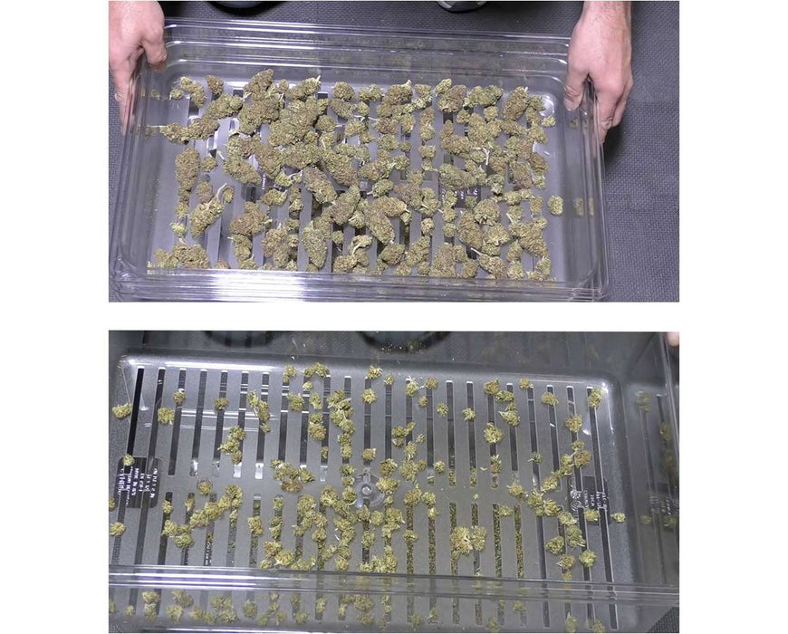 Demonstration of buds inside nested shaker boxes showing separation between A-grade buds and popcorn using tiered sorting.