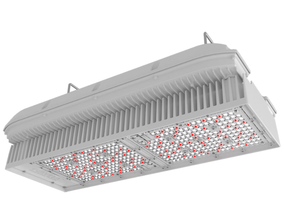 Gavita CT 2000e LED grow light for greenhouse cultivation