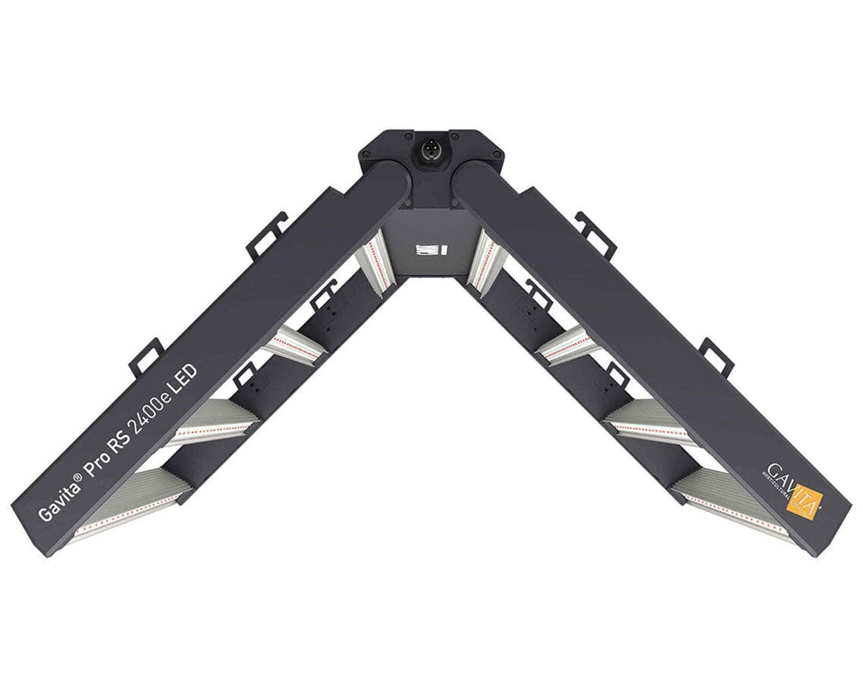 Jairus Gaviolaページ Ready-to-Assemble Jumbo GearBox | Gladiator