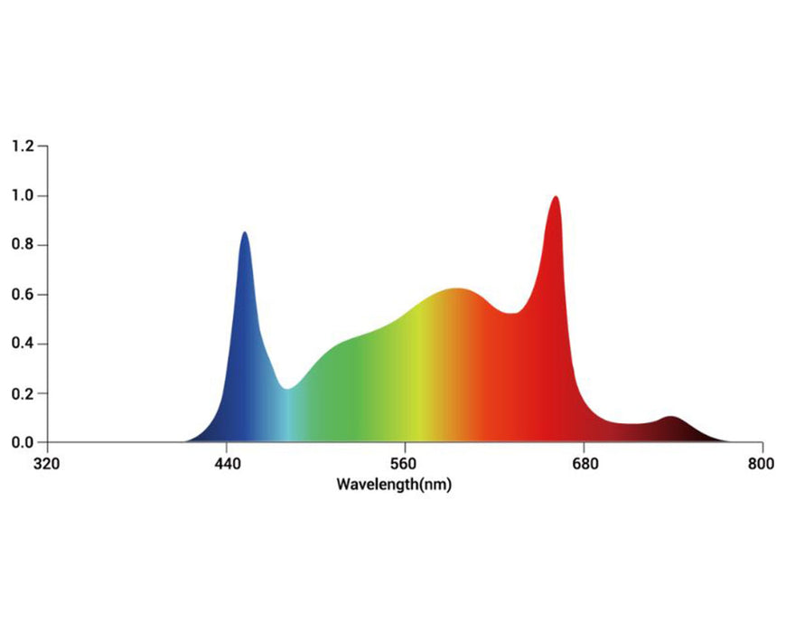 Spectral distribution graph of the Master 150R showing peak output in red and blue wavelengths.