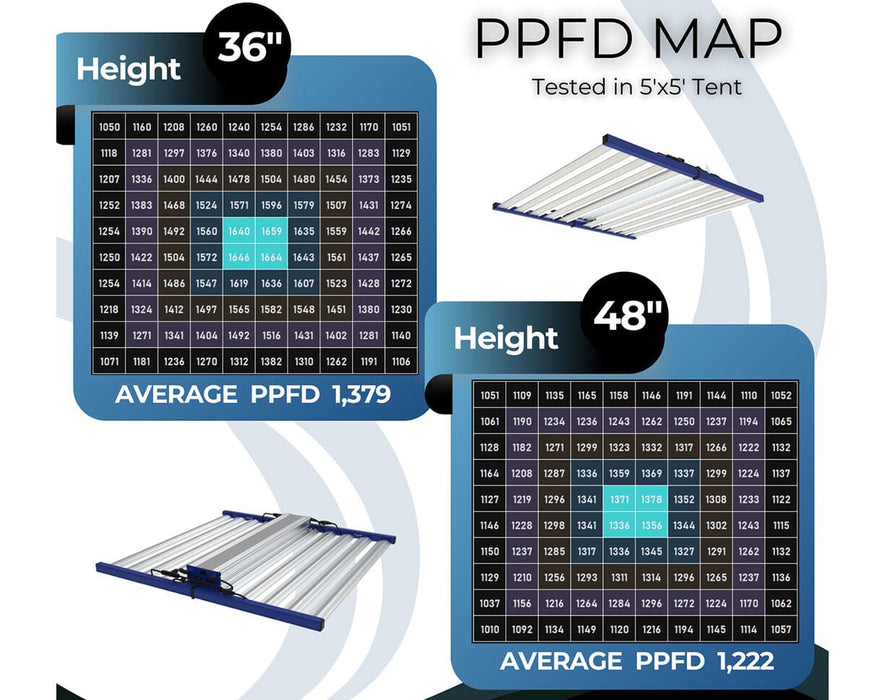 PPFD map chart of Grand Master LEDs Tarantula Borg Evolution V2 for different heights with average PPFD values on a white background.