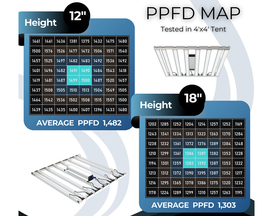 PPFD map for the Tarantula Tent 4x4 light, showing light intensity at 12" and 18" hanging heights with average PPFD values.