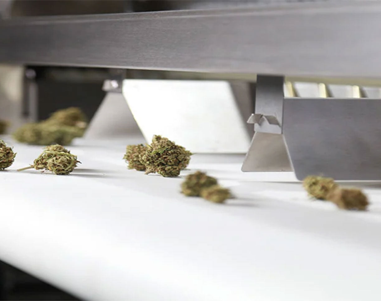 Image showing bud sorting size easily configured using the stainless steel sectional dividers.