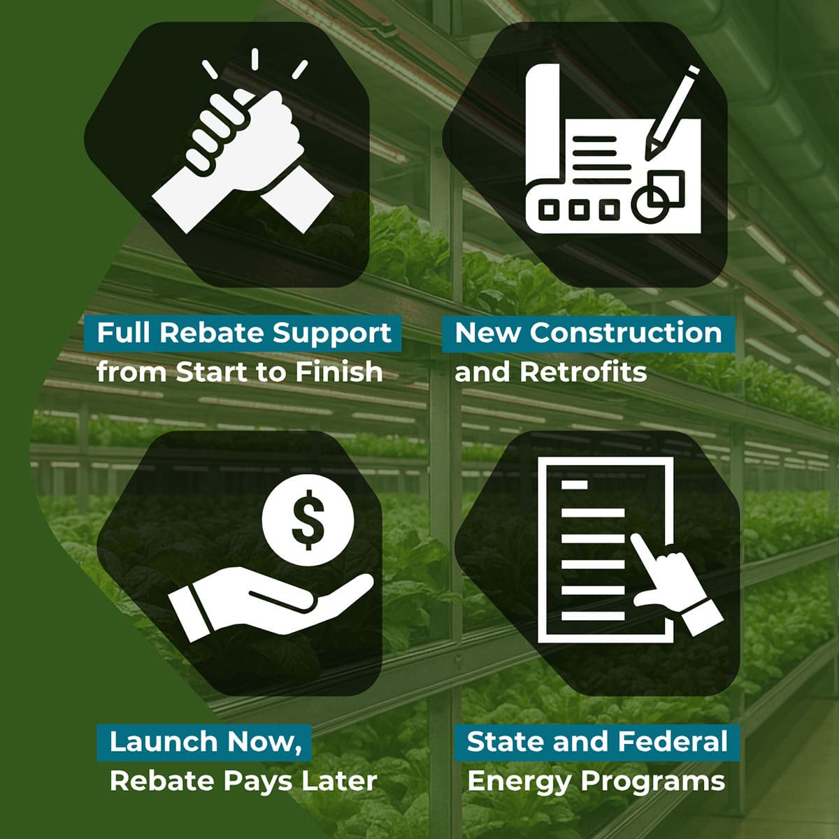 Grow Light Central highlighting full rebate support, new construction retrofits, launch now pay later, and state and federal energy programs for commercial growers.