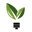 Grow Light Central logo
