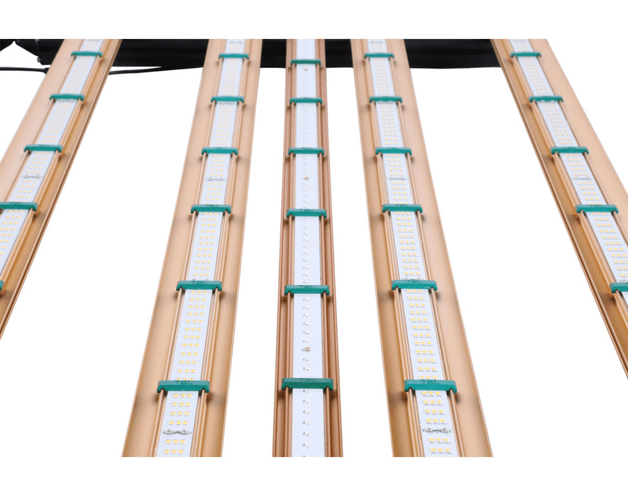 Zoomed view showing uniform white diode layout across several LED bars on the fixture.