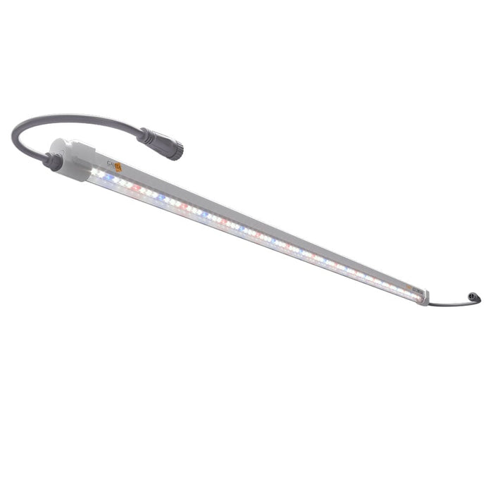 Gavita LED Clone Bar LED light Gavita 