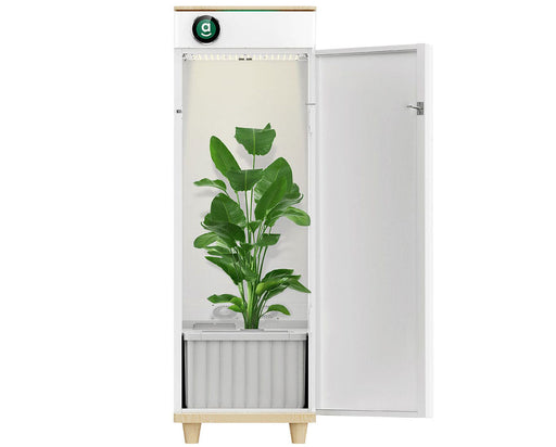 Hey abby 420 SE grow box with door open showcasing plant under Samsung LM281B+ PRO LED grow light in DWC hydroponic system.