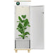 Hey abby 420 SE grow box with door open showcasing plant under Samsung LM281B+ PRO LED grow light in DWC hydroponic system.