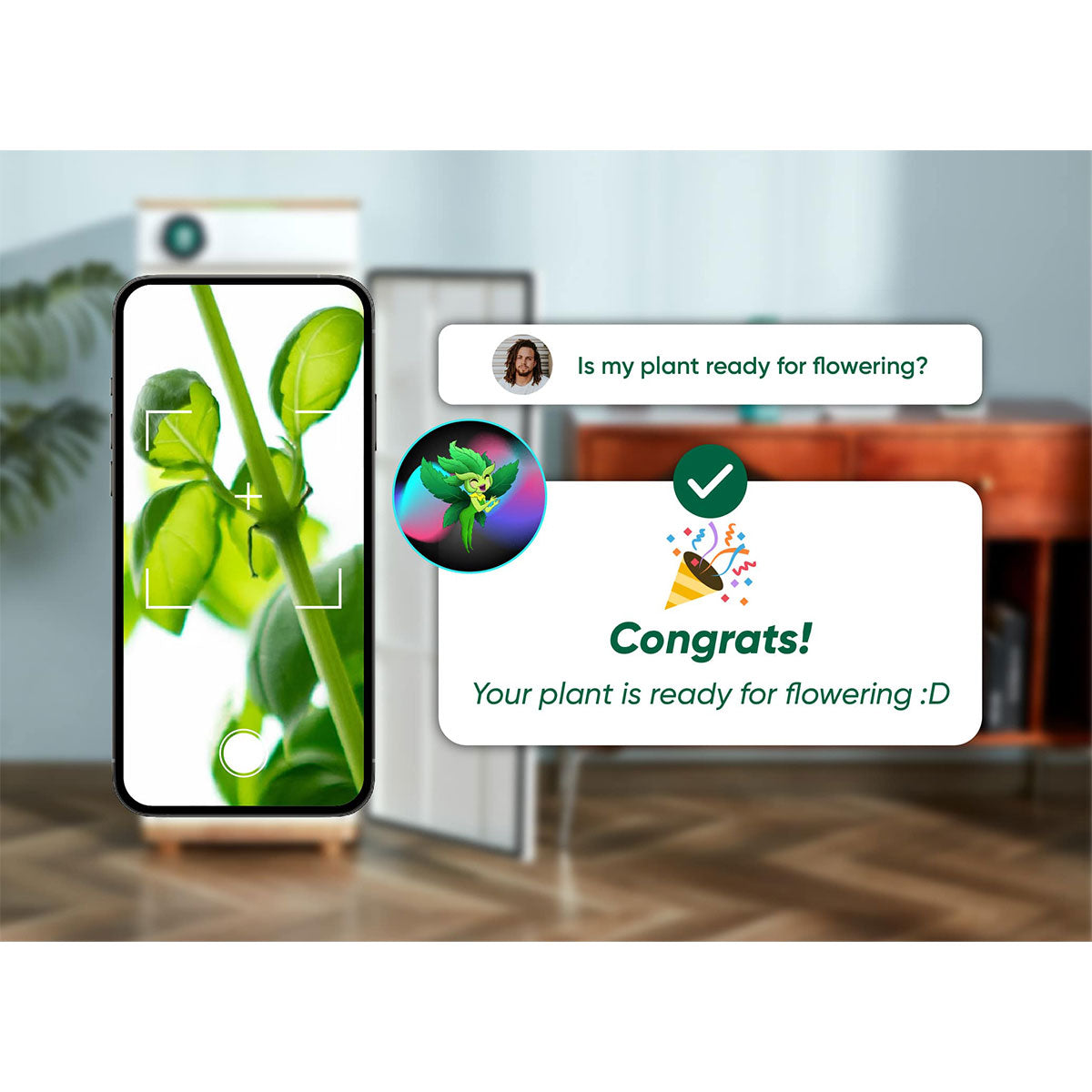 Hey abby app using AI to confirm a plant is ready for flowering by analyzing a close-up image of a plant stem and leaves, with congratulatory message on screen.